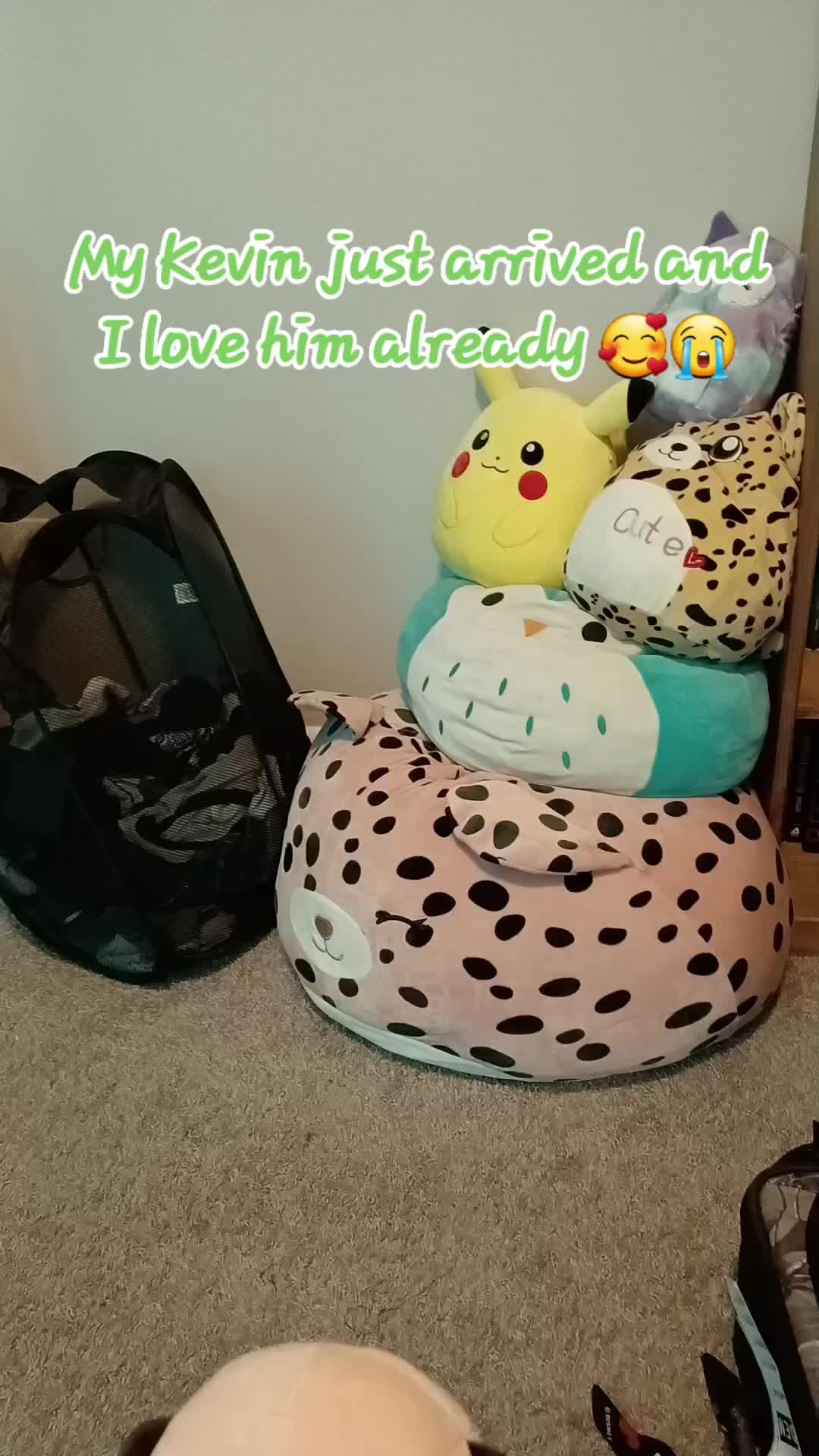 @ArcherOwl