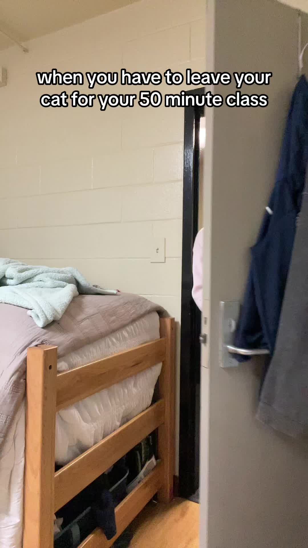 @austyn