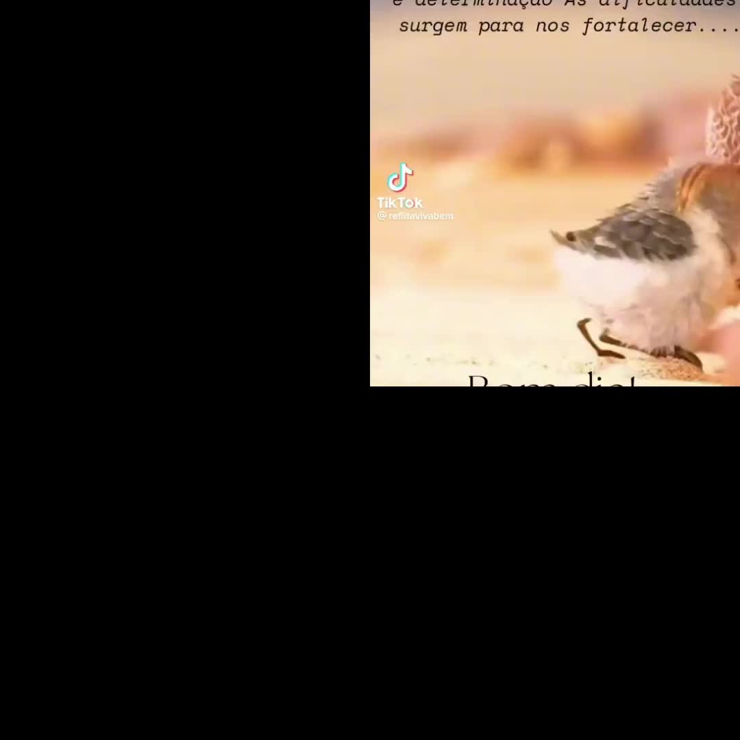 @Ana Cristina Mesquita