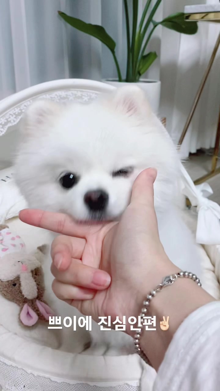 @권하리