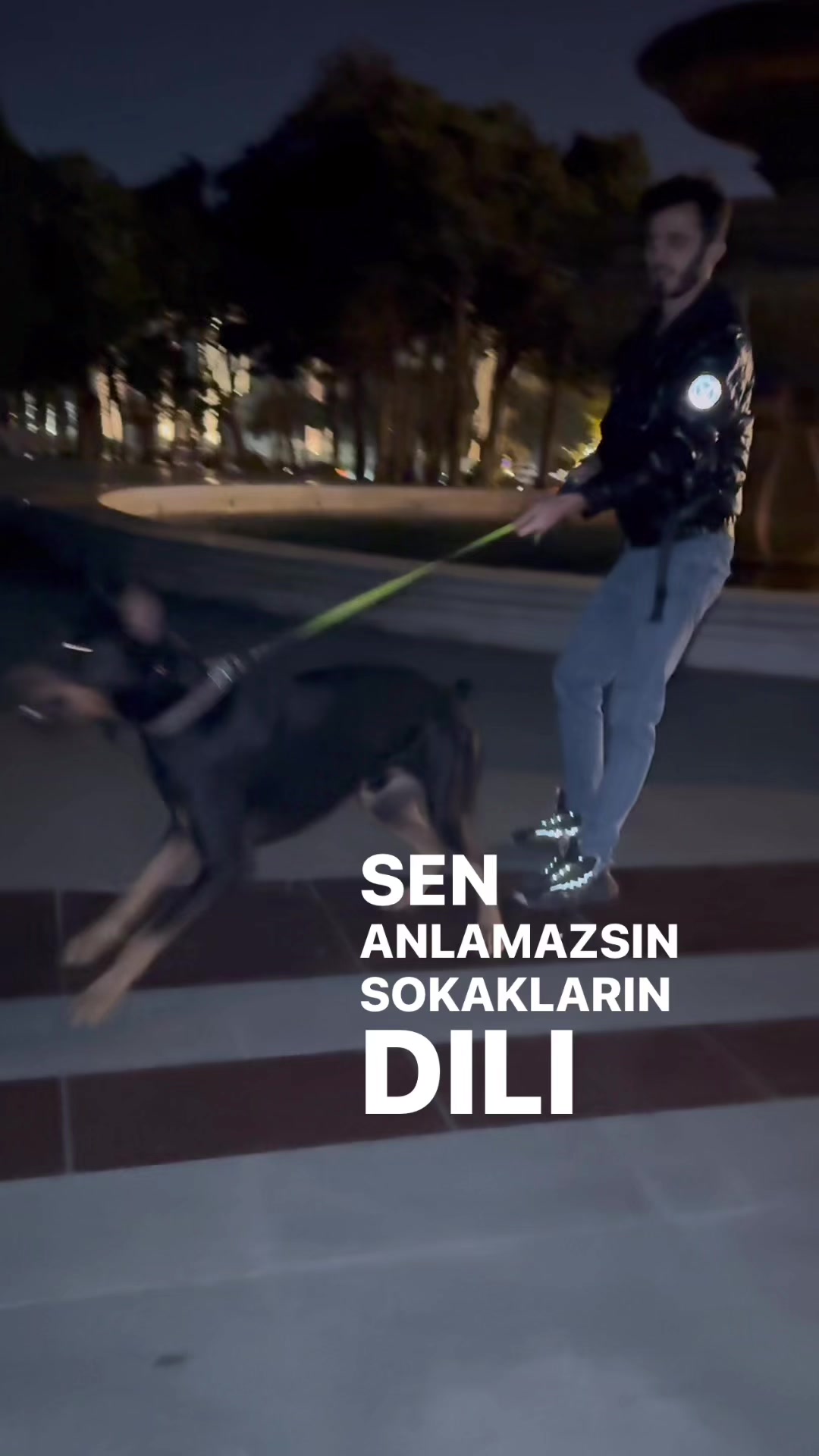 @dobi.baron