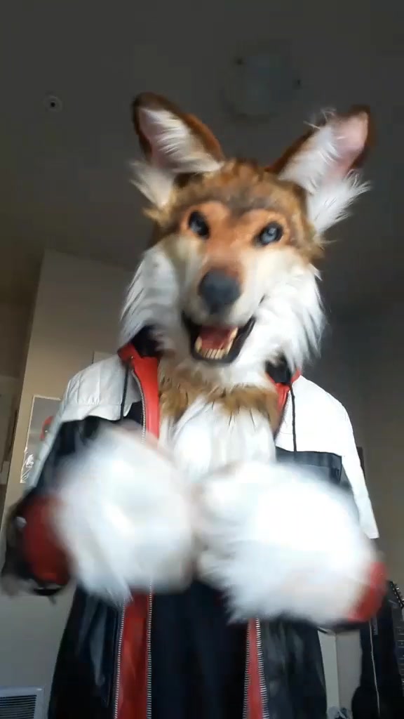 @SaltyFox