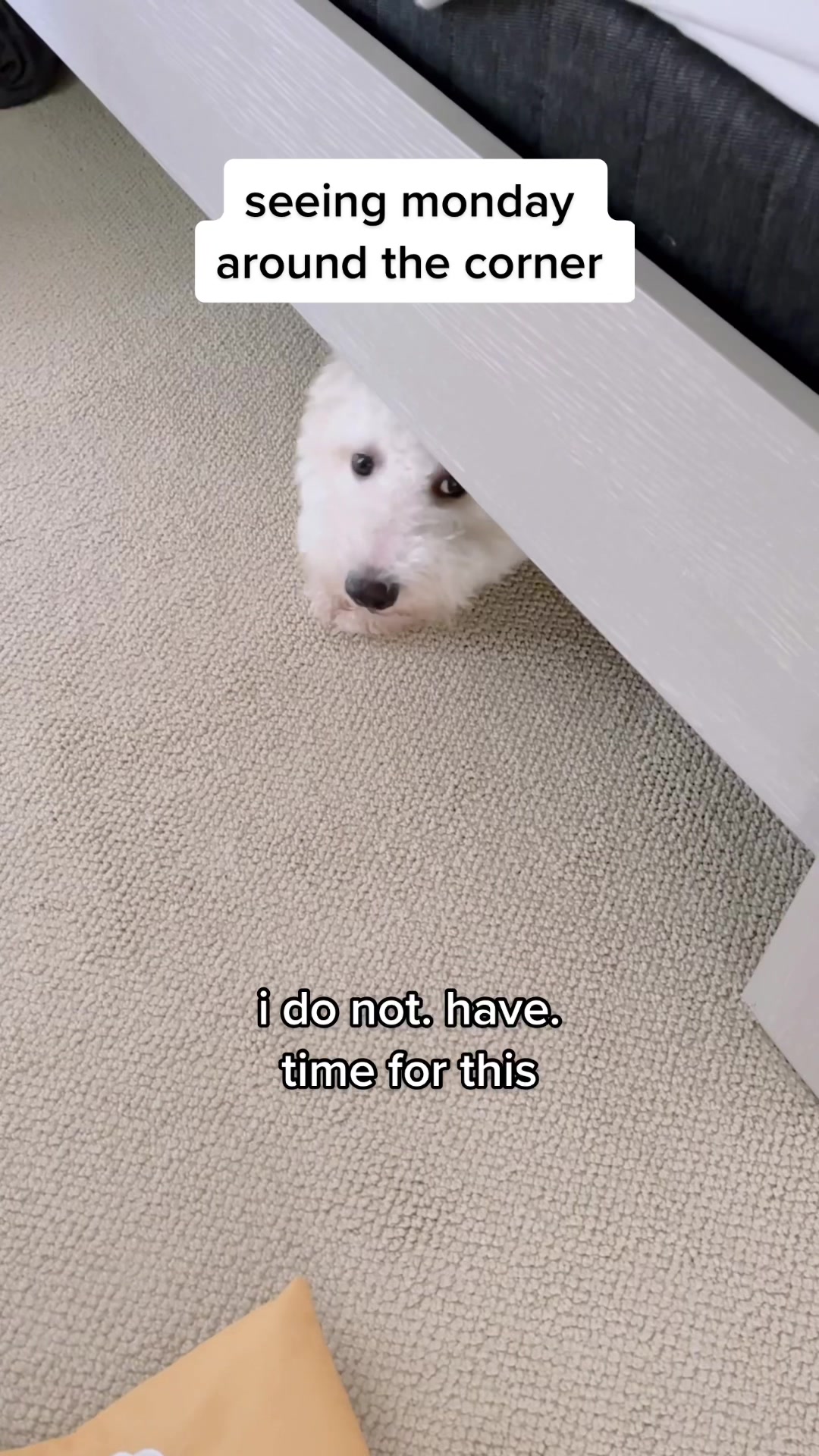 @Baymax