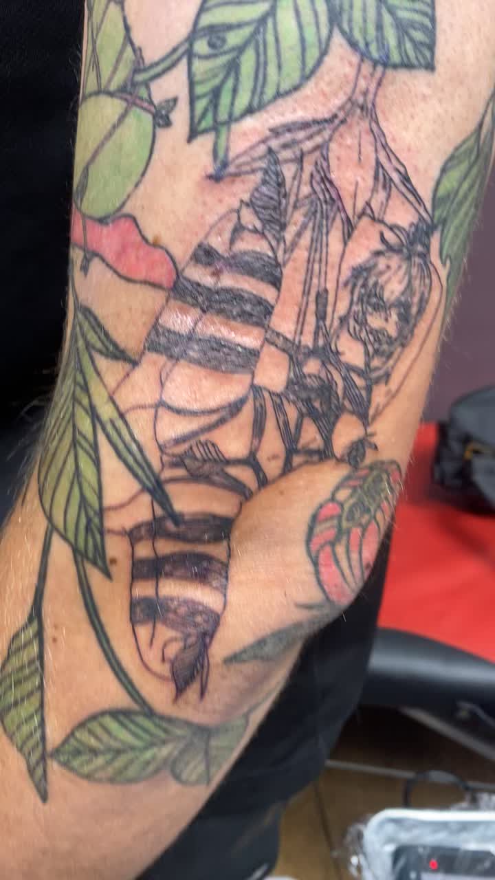 @piratekingtattoos