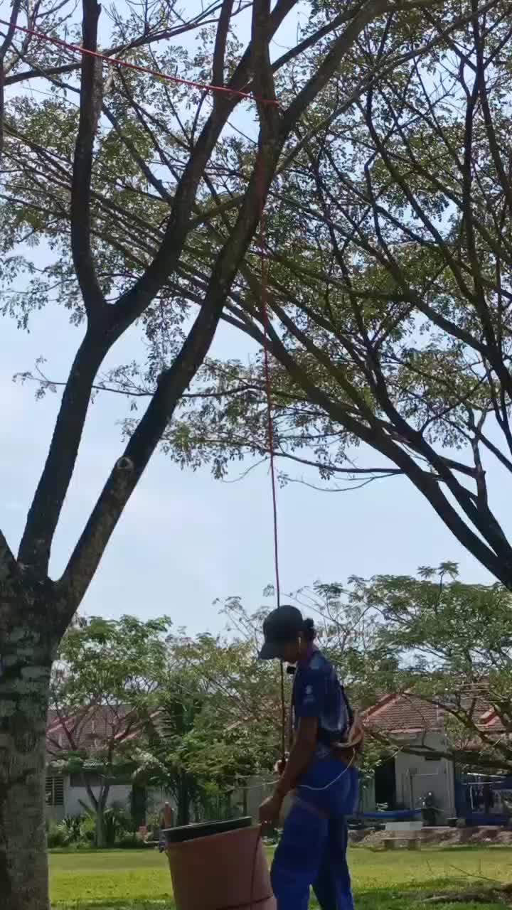 @mus