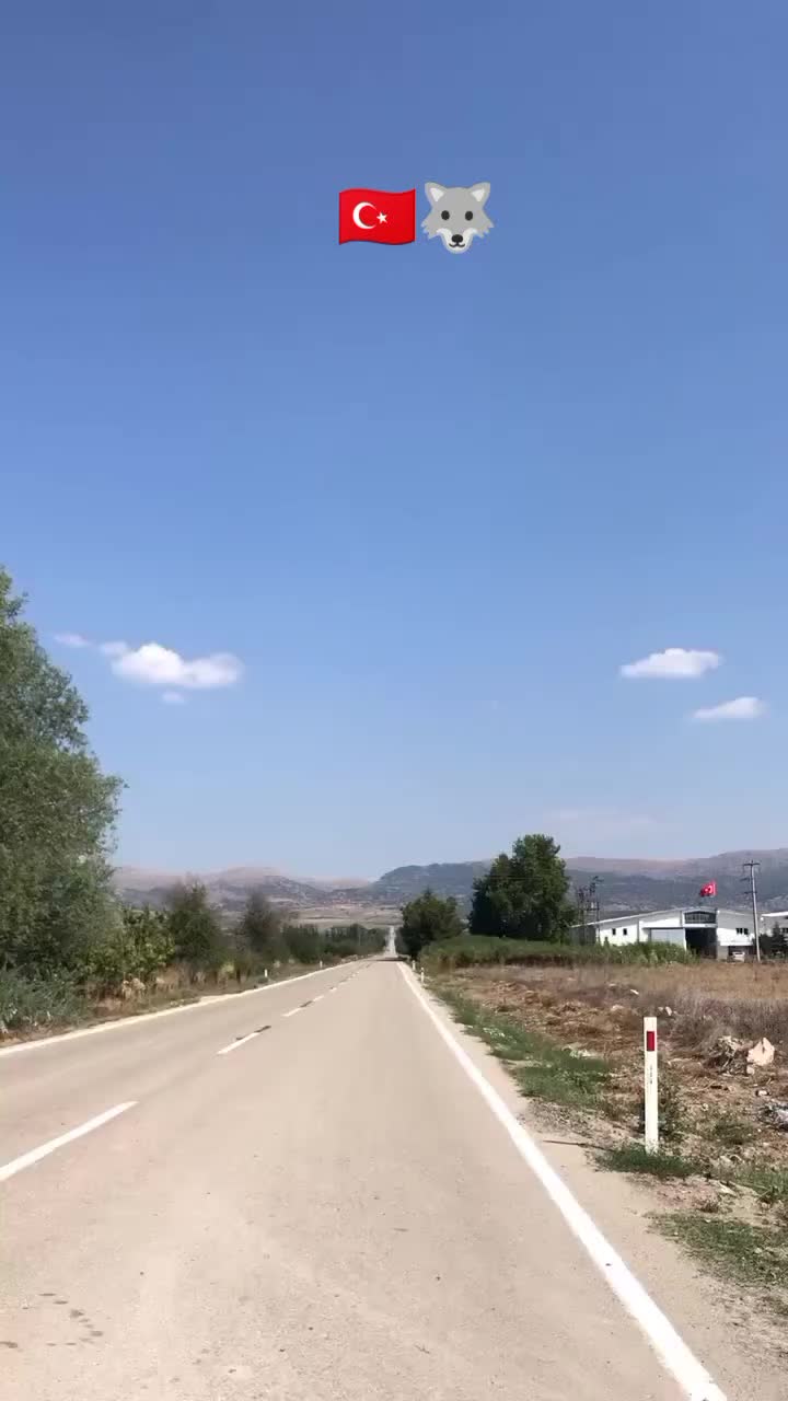 @kadişş