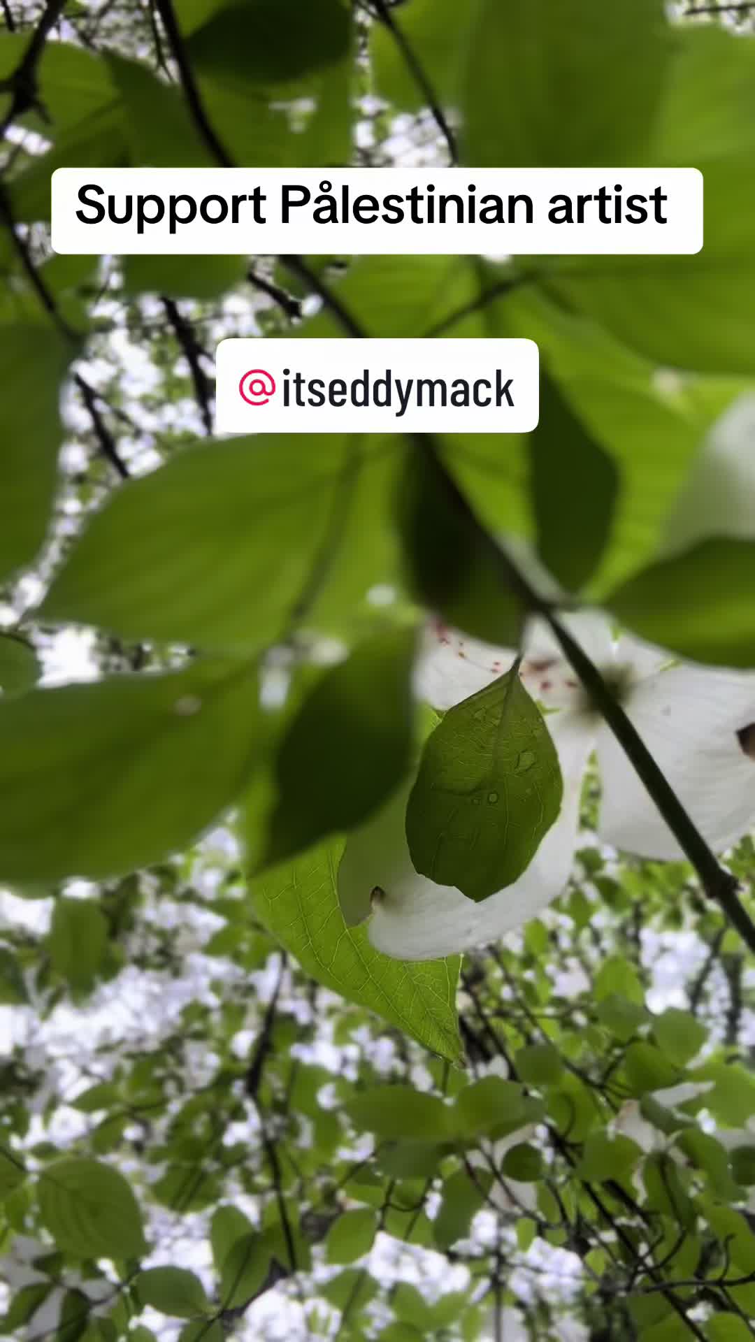 @Lilianafletch87.2.0