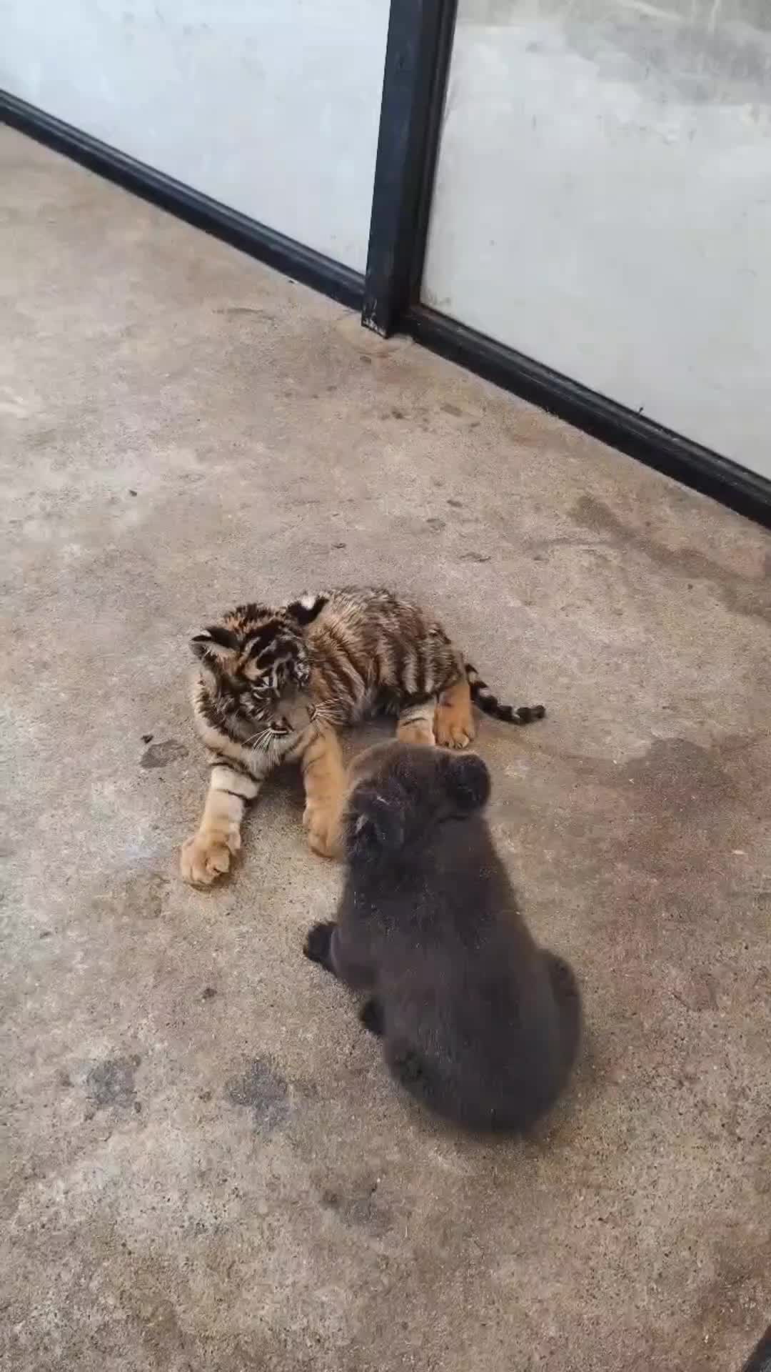 @Cute 15_05