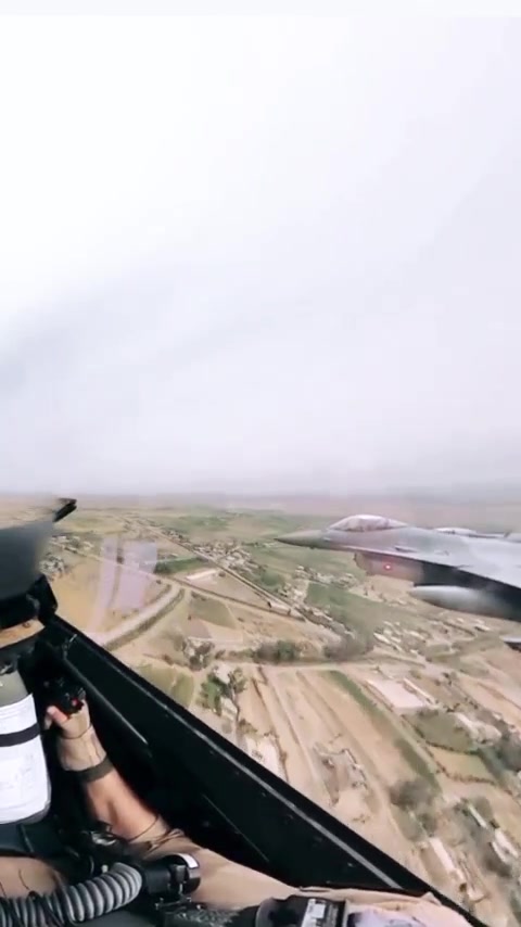 @aliadelaltayar