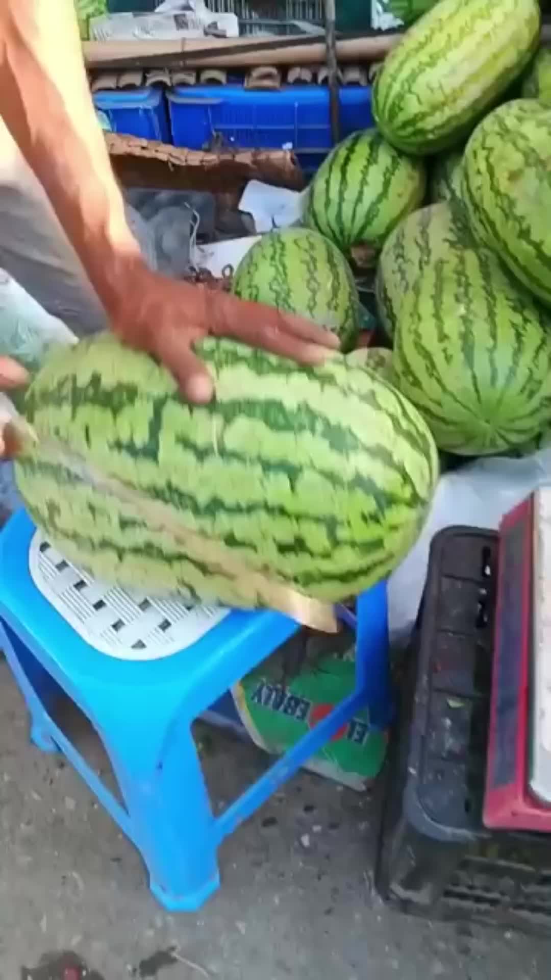 @এমডি মানা মিয়া