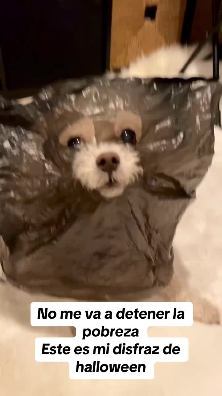 @Edithtlove