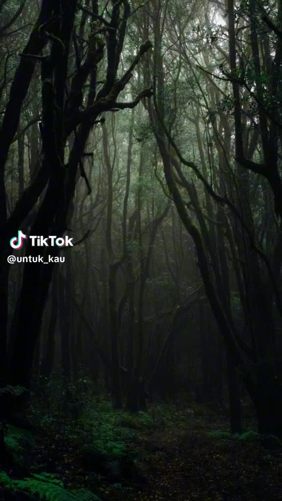 @TENGOK AKU !