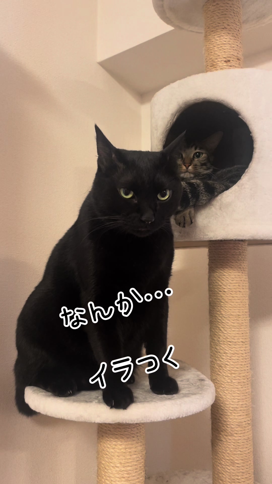 @Chikurokie
