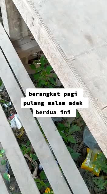 @andry allan k