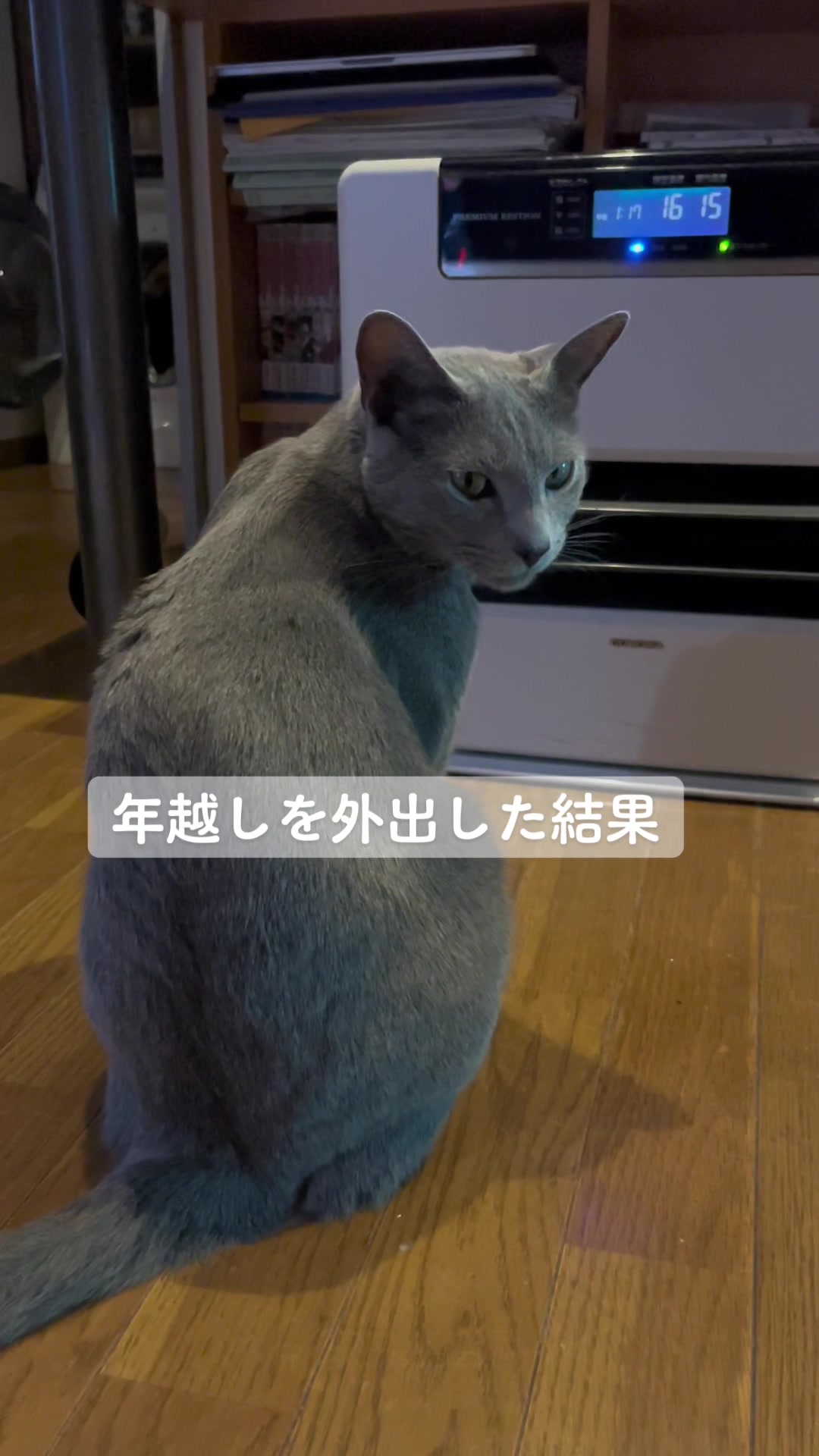 @carbuncle20190515