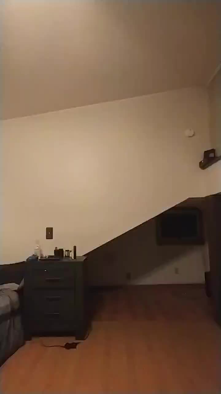 @Ryker_Mutt