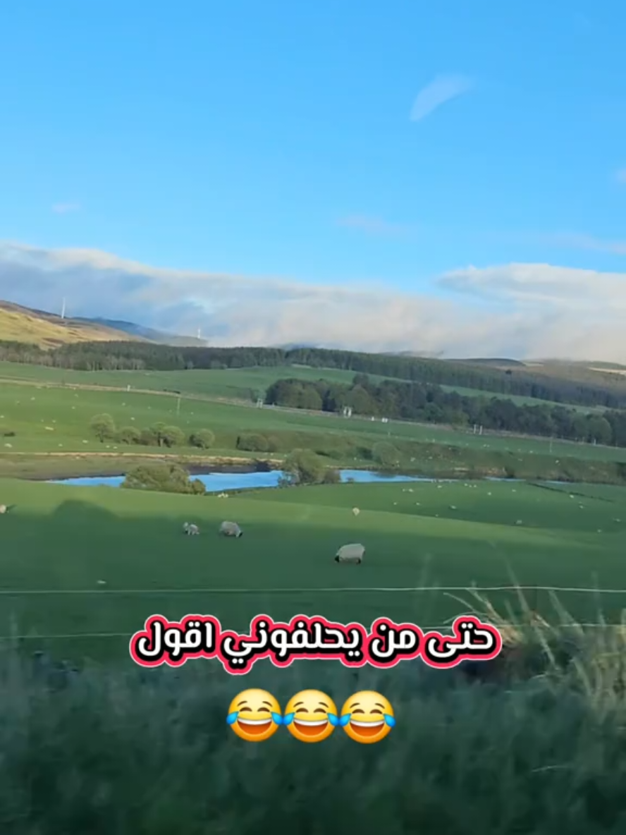 @مـᥫ᭡ـيـمو|𝐌𝑬𝐌𝙊👑
