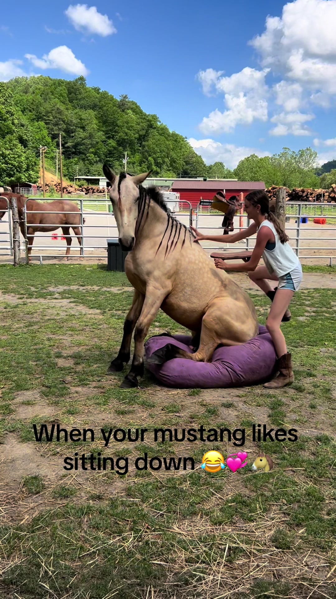 @Janet..Fuzzy.farm.gang
