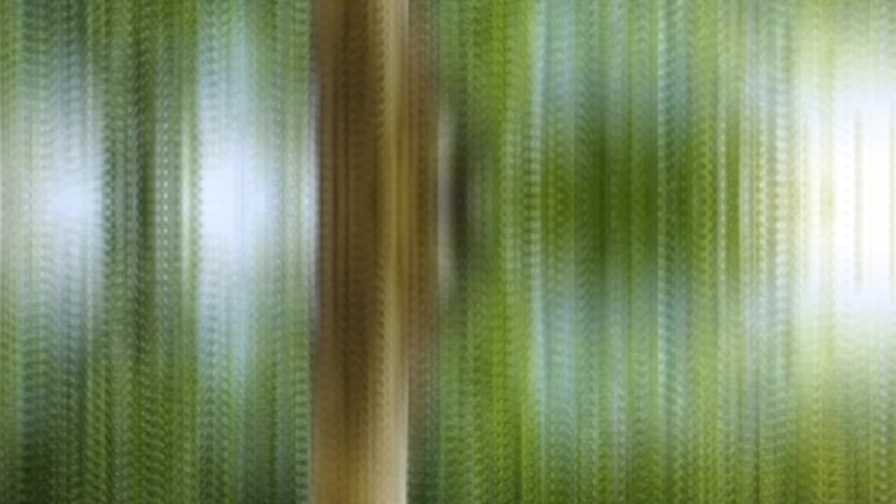 @MagicArt
