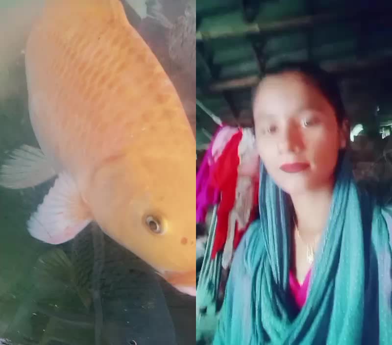 @raju raj 8090