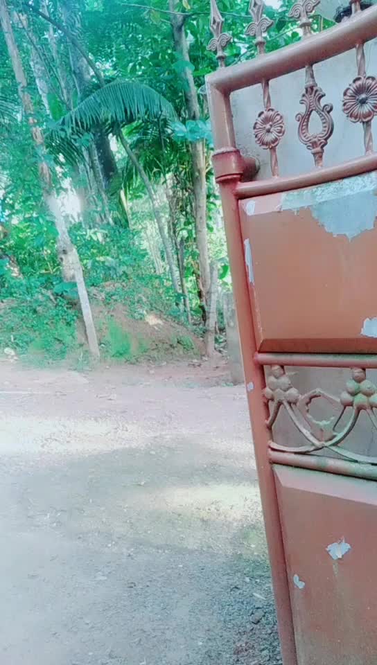 @Anchithavava