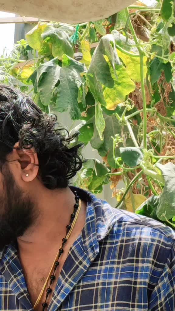 @Jithin Vidhyadharan