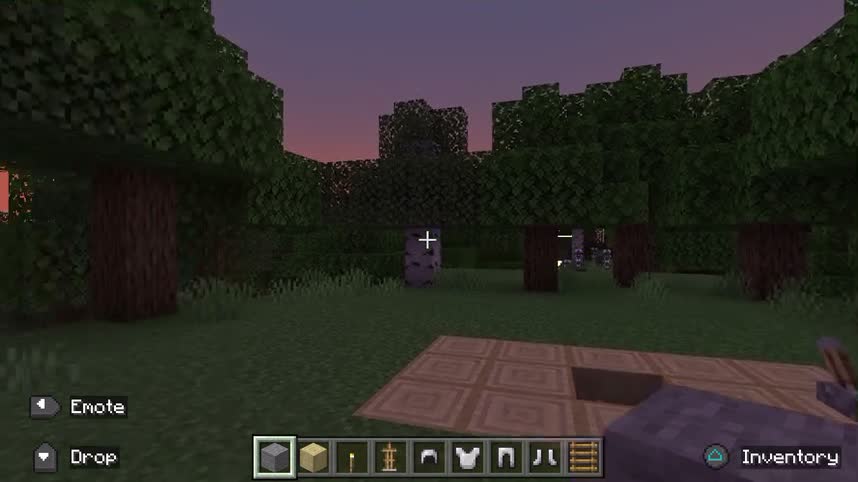 @Minecraft Community