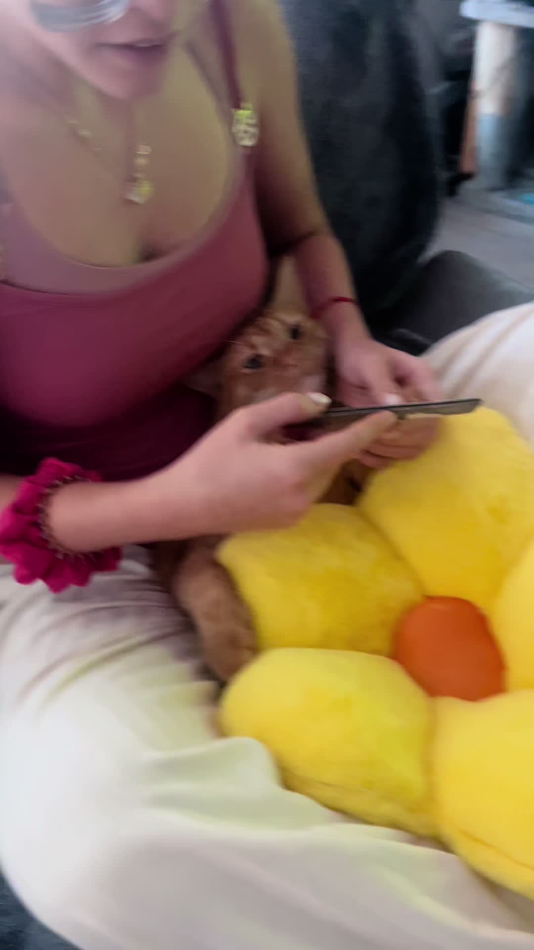 @mango mango