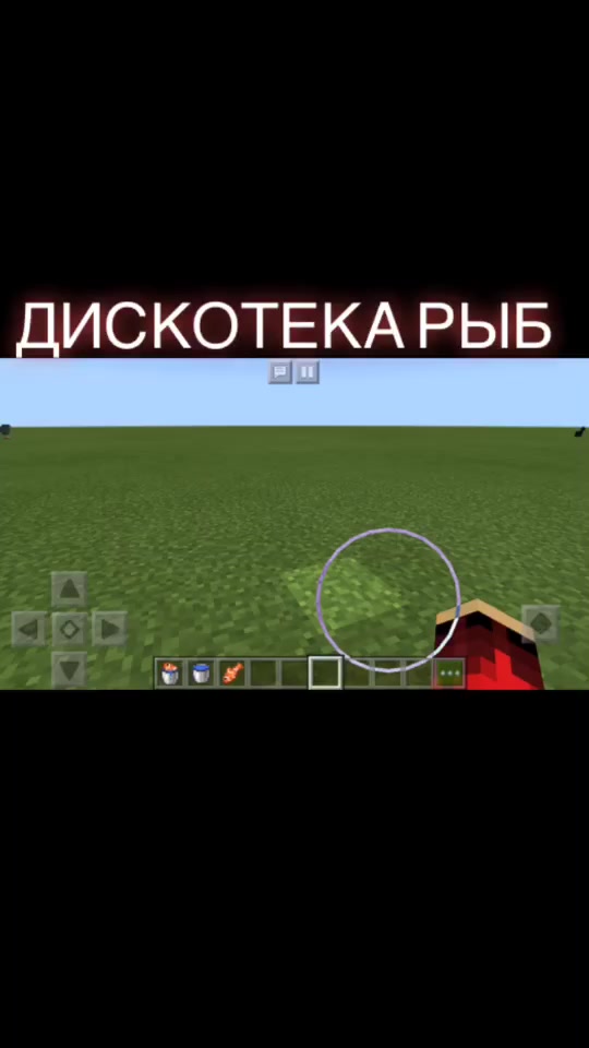 @MINECRAFT