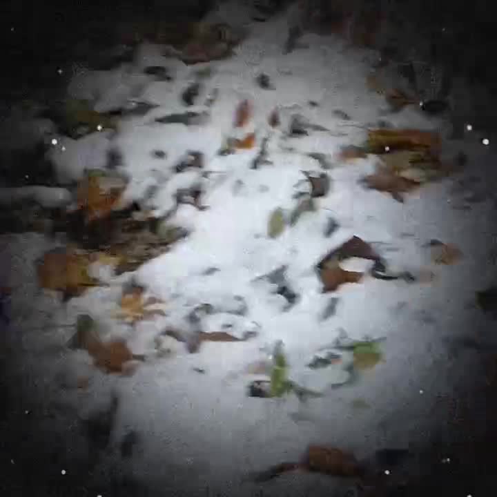 @Яцумура