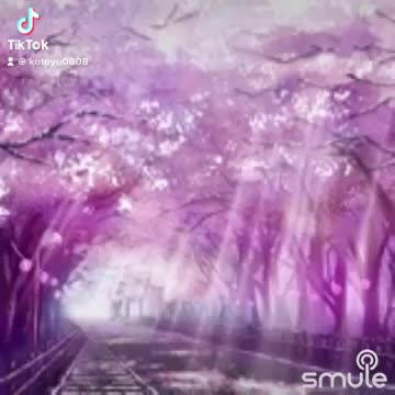 @胡蝶蘭丸🦋【THE JOiNTO】