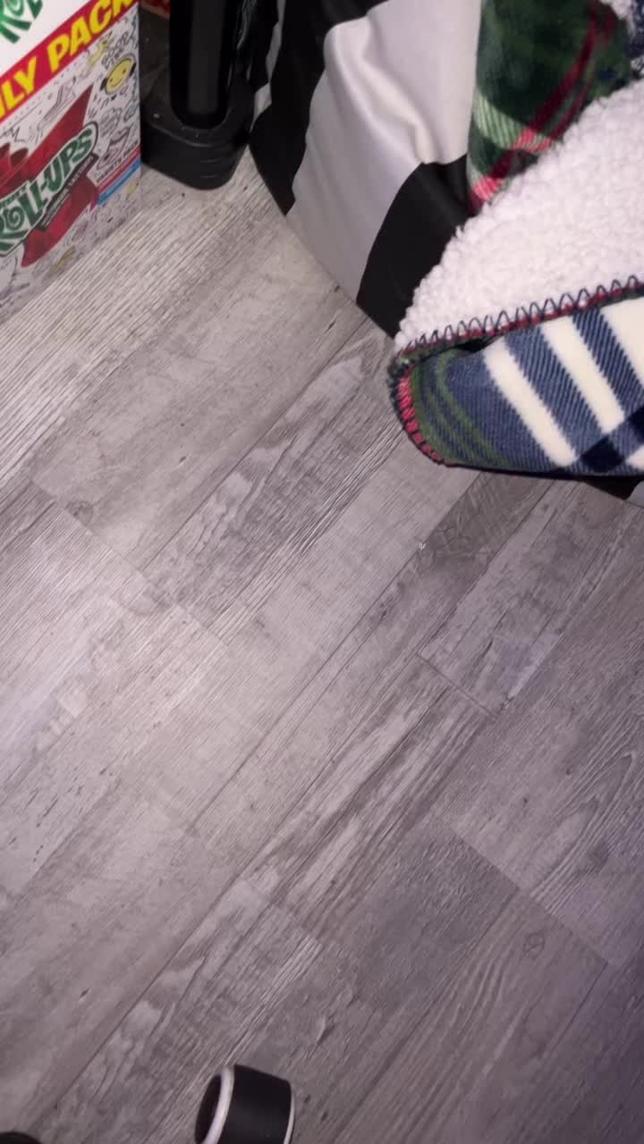 @🦔