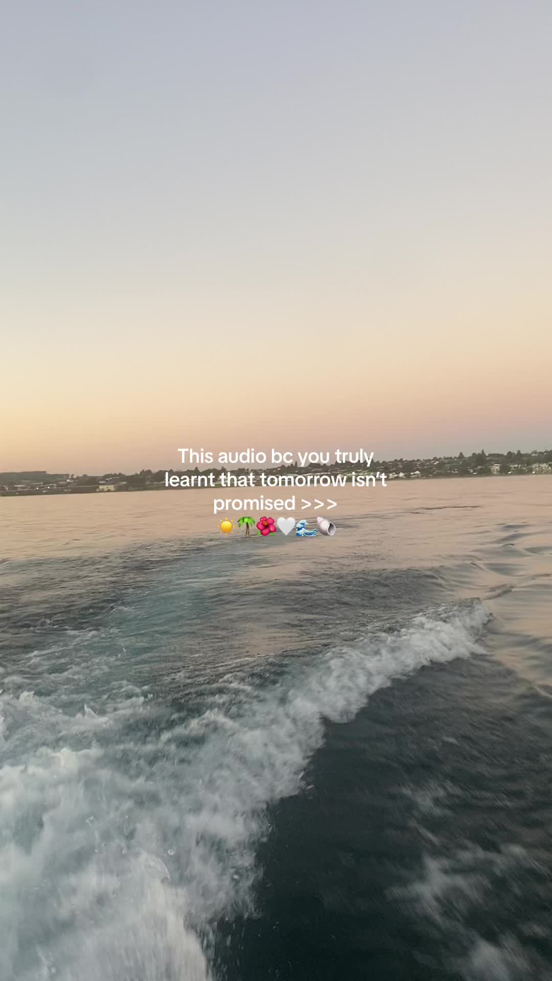 @🤿🌊🌺🐚☀️🦭
