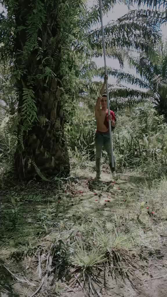 @AN FF
