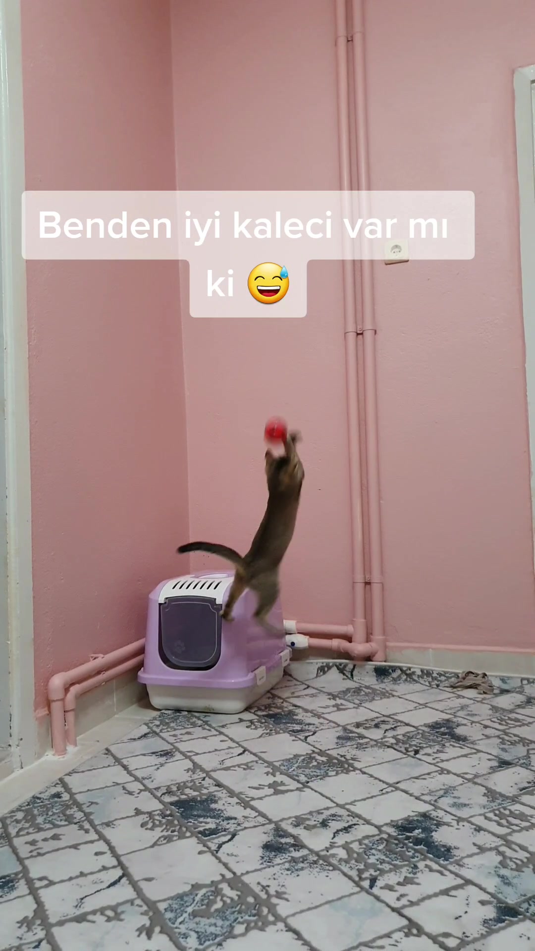 @Alya
