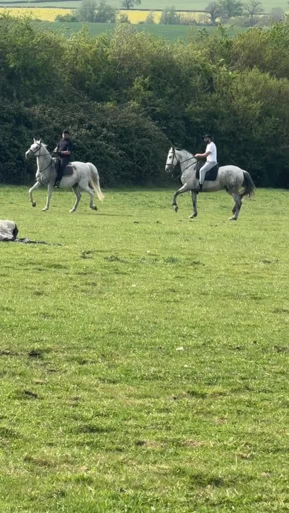 @Slough horses