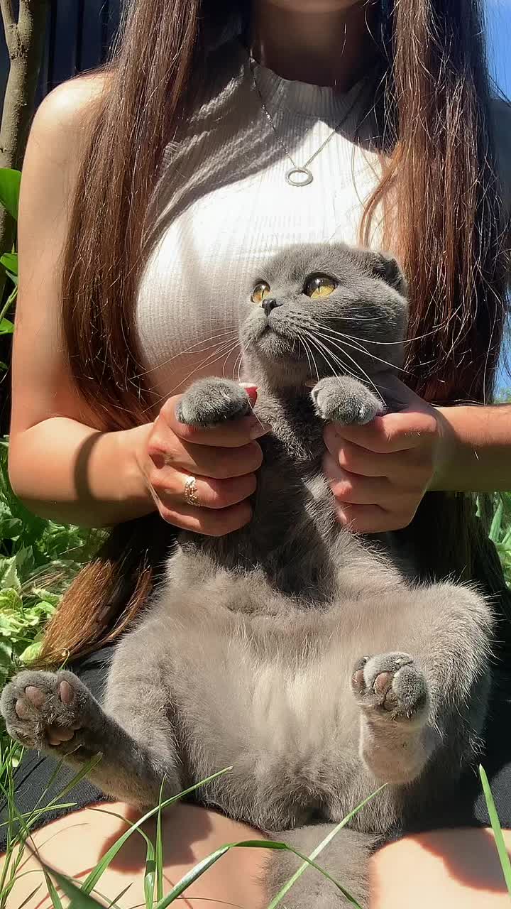 @Feluari