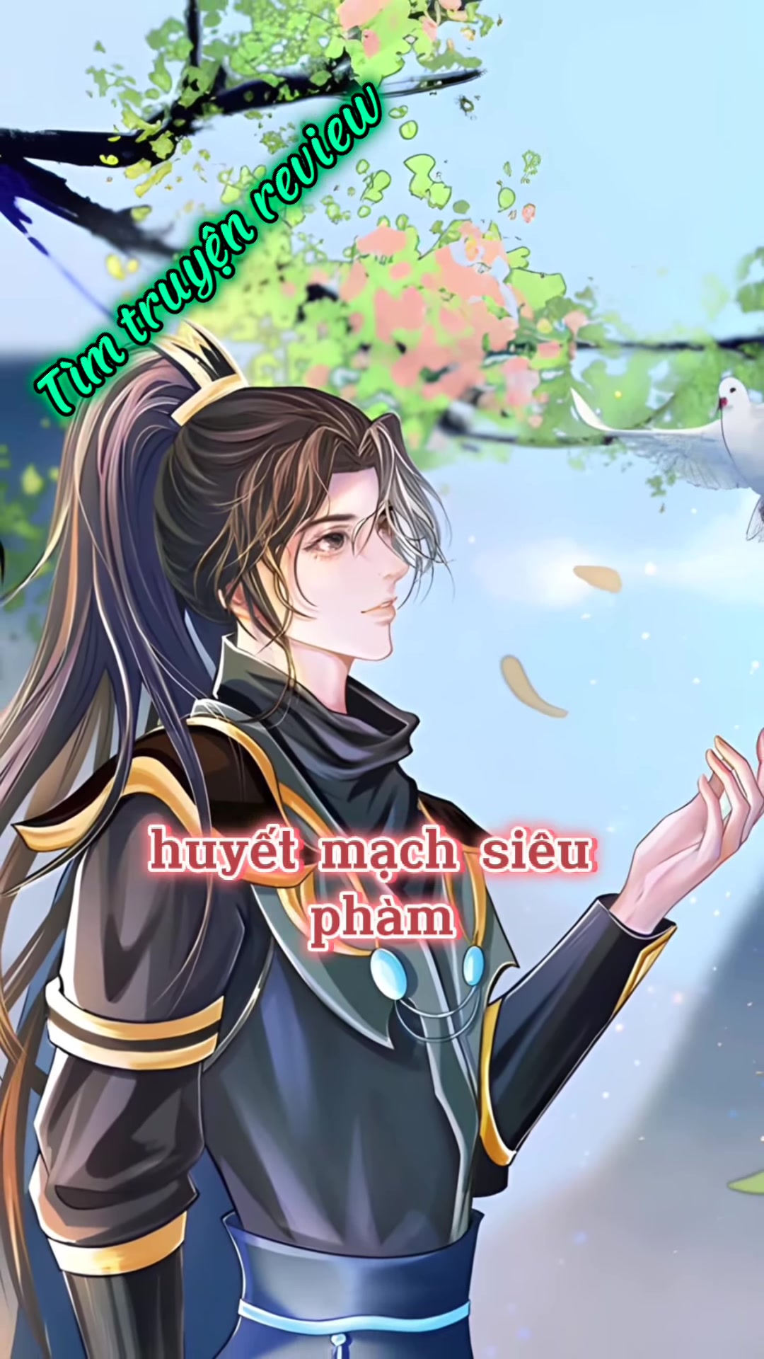 @Bao &Uacute;
