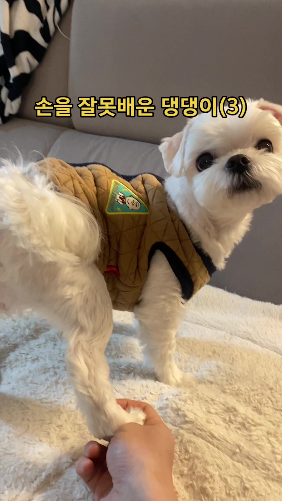 @박까까