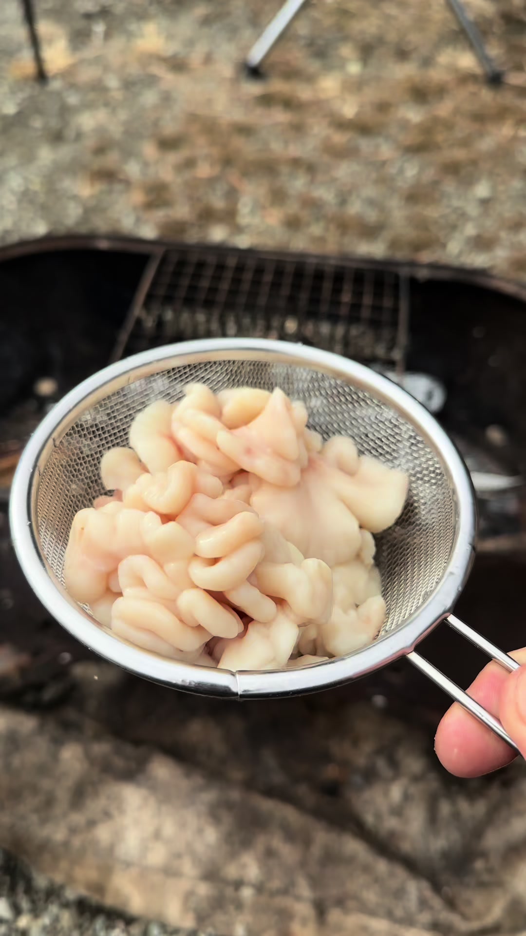 @まちゃのキャンプ飯部🥟🧀