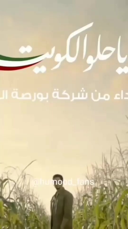 @user07619528056
