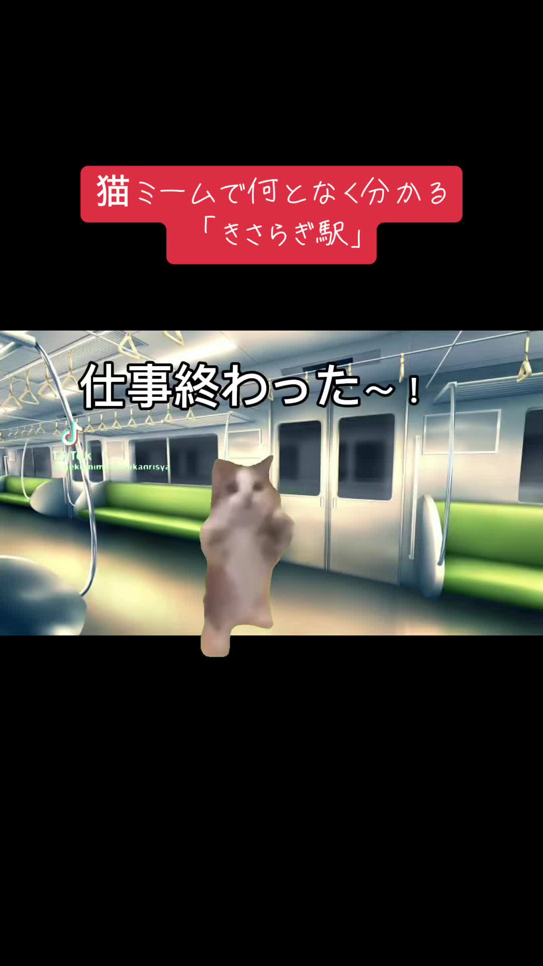 @こわぞう
