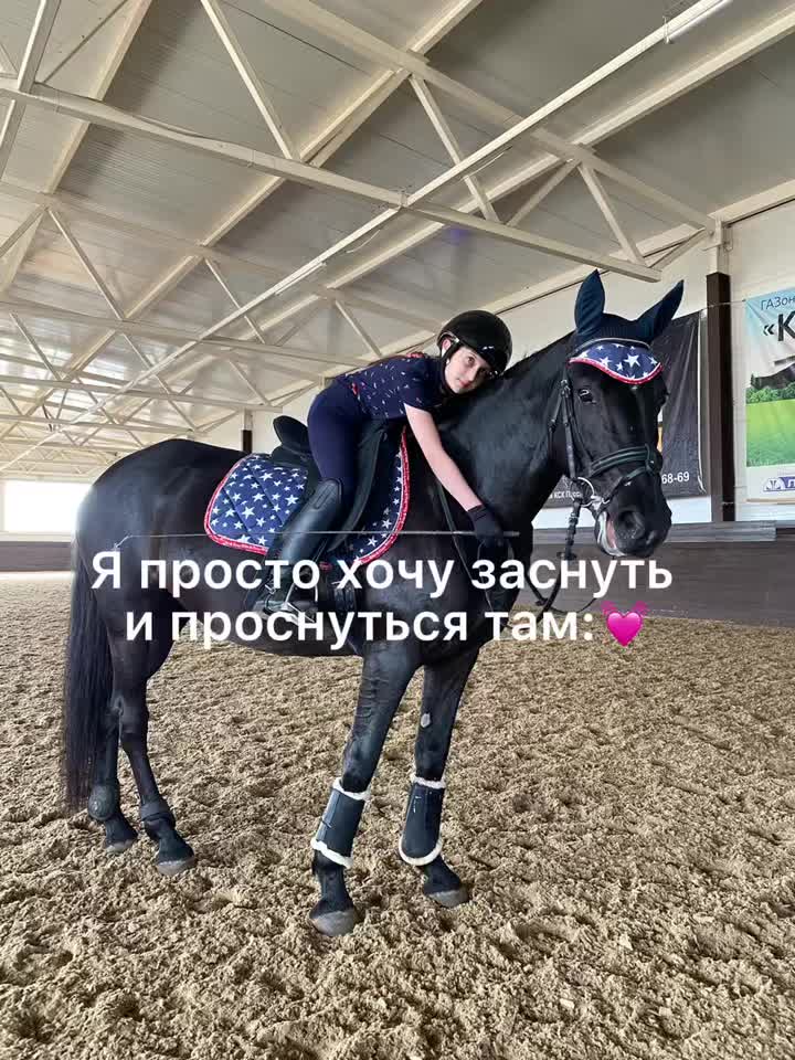 @horse riders