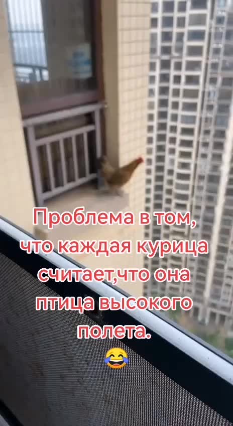 @Александра