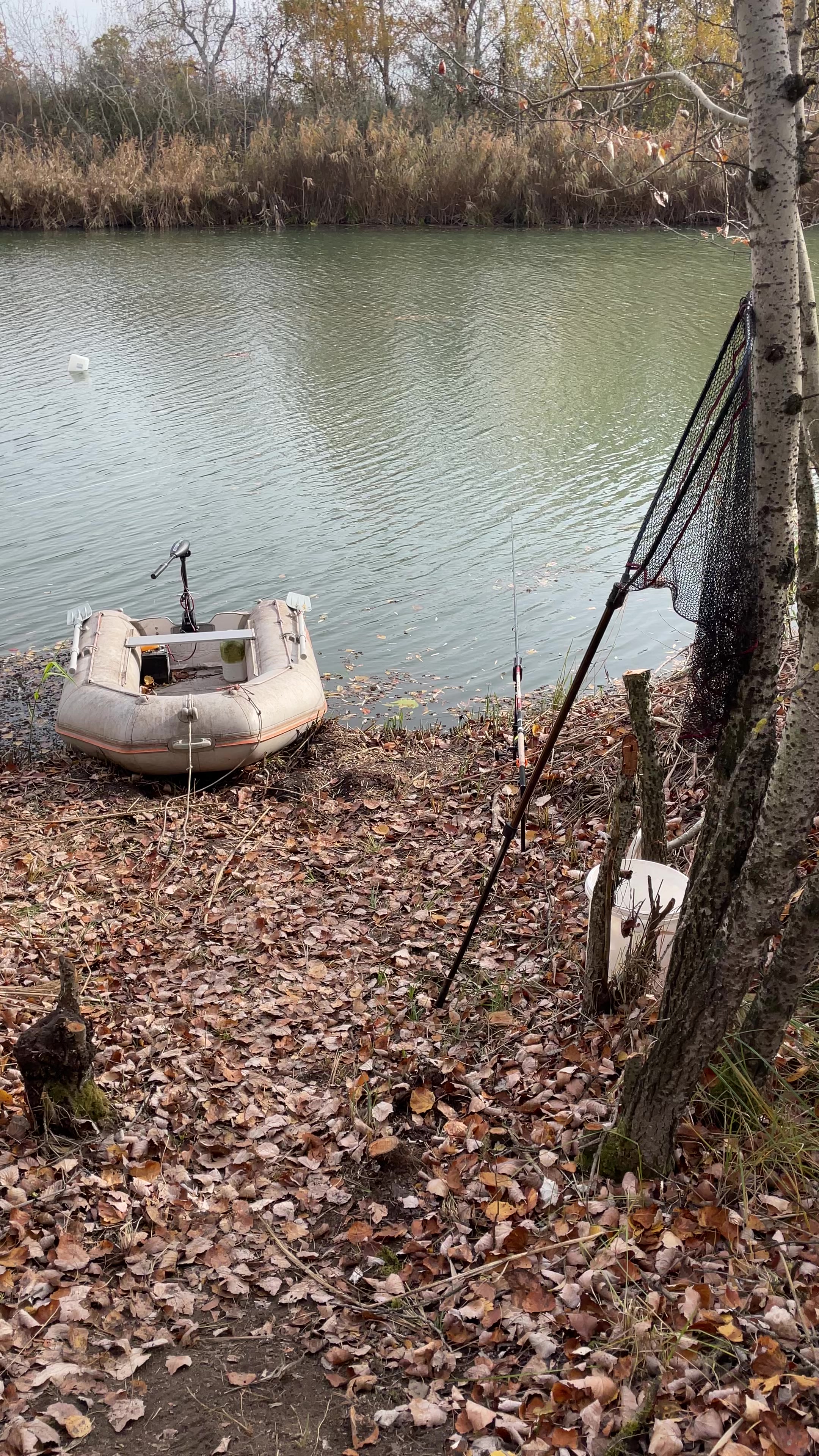 @Galifamili.carpteam