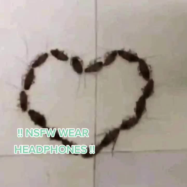 @HaruR4in