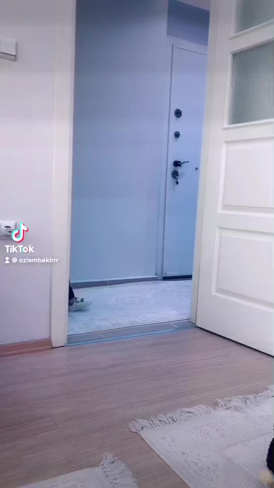 @&Ouml;zlem Bakır