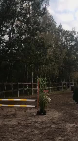 @Końska Grupa🐎