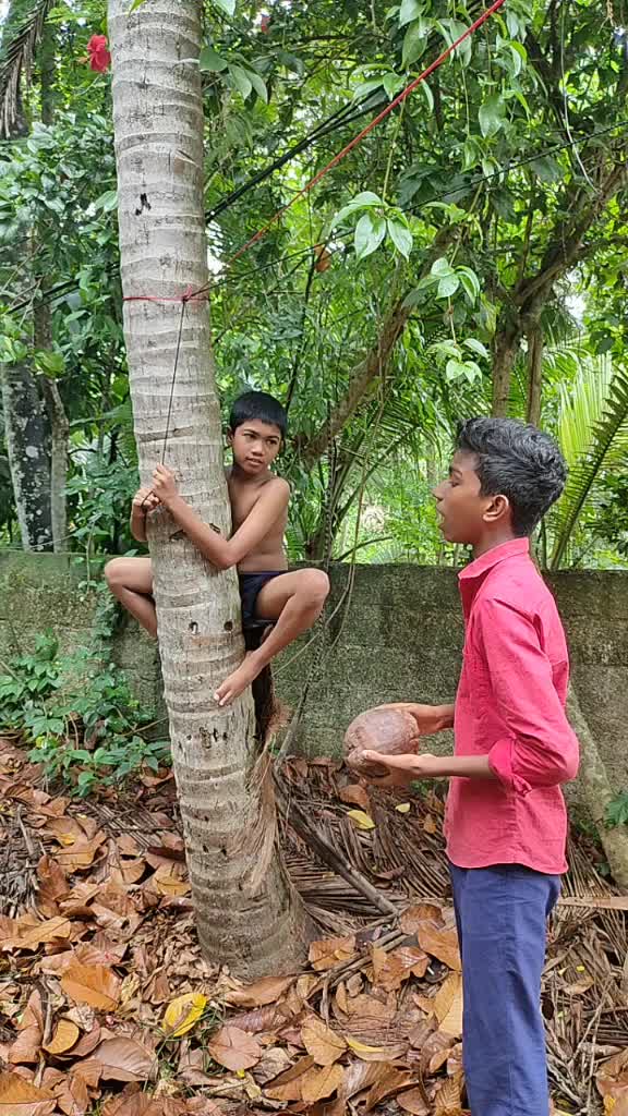 @Aiswar Sreenivasan