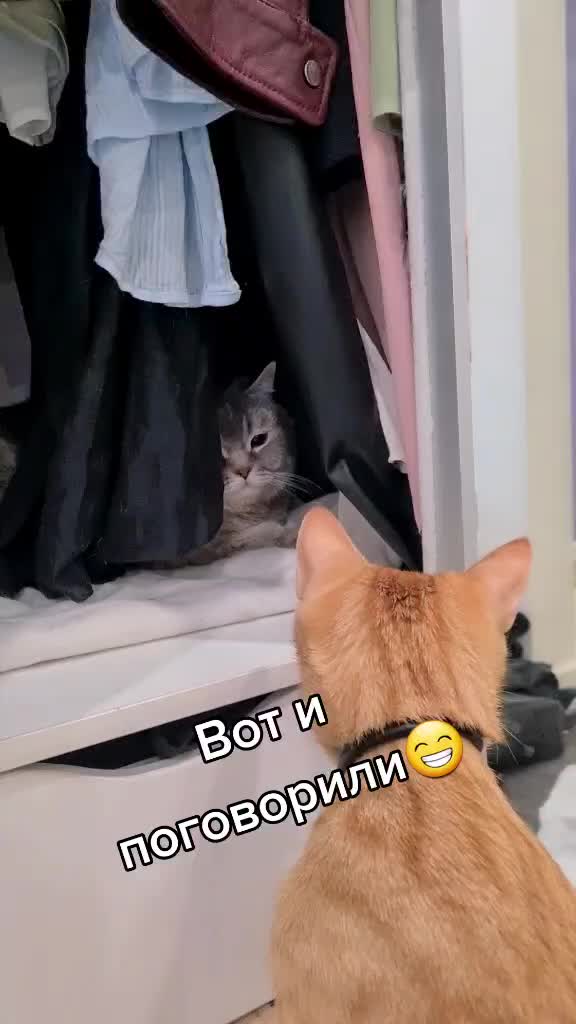 @Brunodiary
